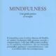 Mindfullness - Joseph Goldstein (approfondimento)