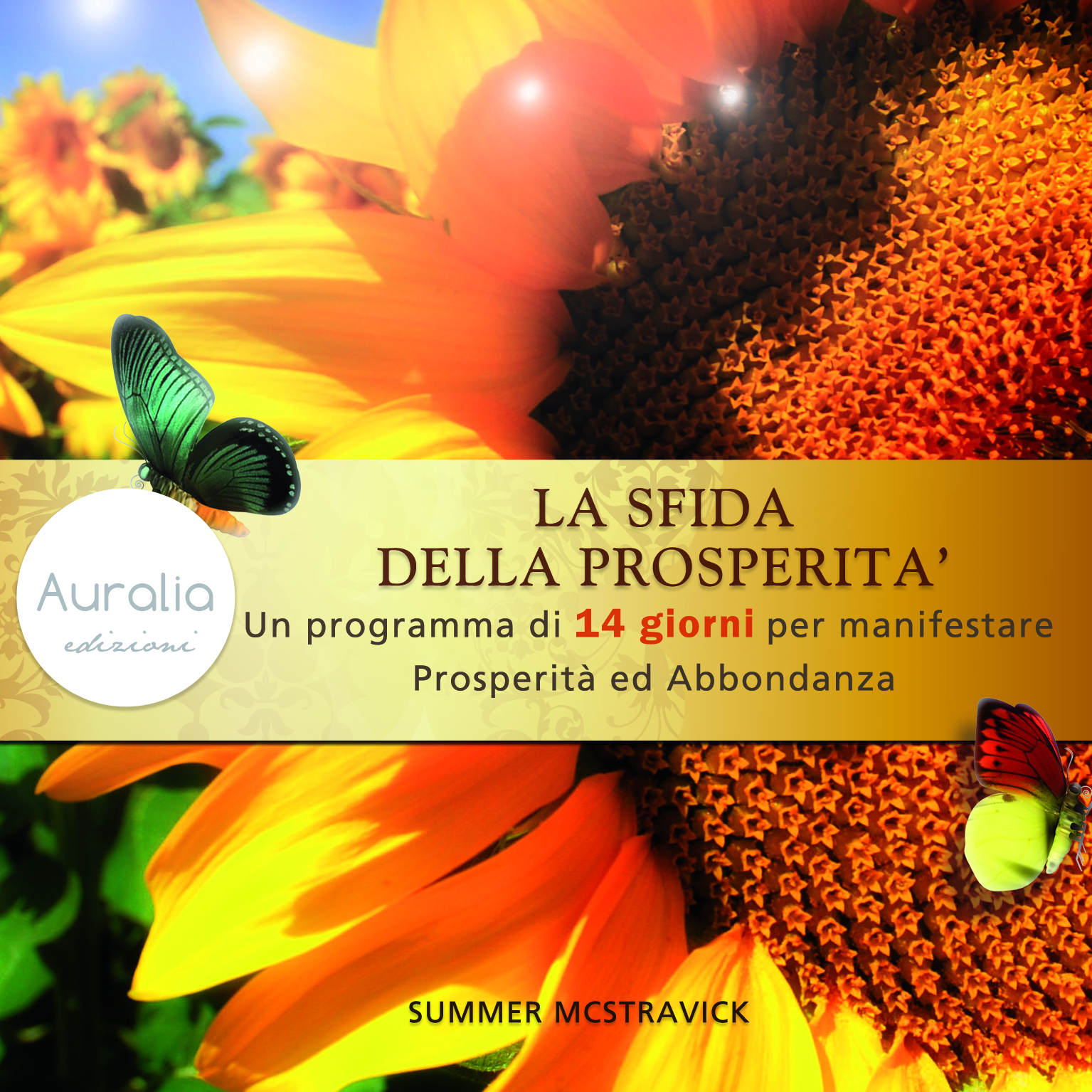 La sfida della prosperità – Summer McStravick (legge di attrazione)