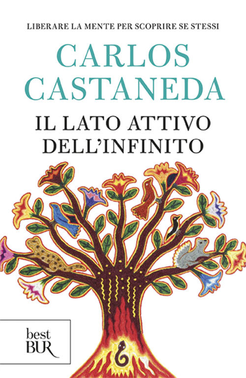 Il lato attivo dell’infinito – Carlos Castaneda (approfondimento)