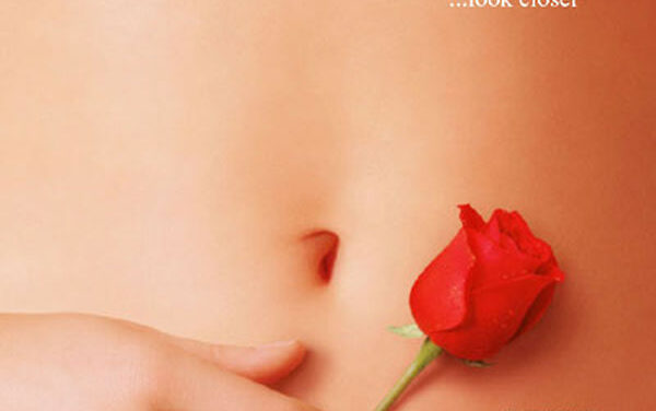 American beauty (film)