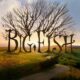 Big fish