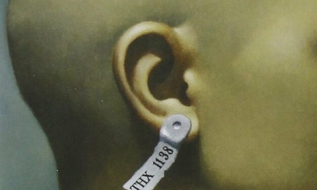 L’uomo che fuggì dal futuro (film)