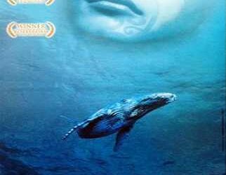 La ragazza delle balene (film)