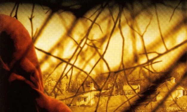 The village (film)