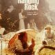 Picnic ad Hanging Rock - Il lungo pomeriggio della morte (film) Picnic ad Hanging Rock
